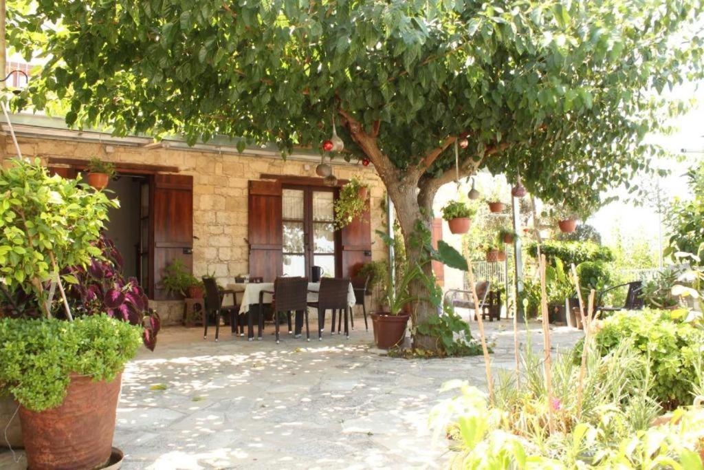 Fyti Georgia'S House B&B 외부 사진